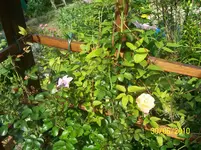 100_2557.webp