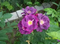 100_2560.webp