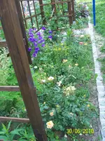 100_2565.webp