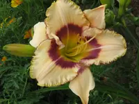 IMG_albert 220-1_1024x768.webp