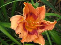 IMG_anja1_1024x768.webp