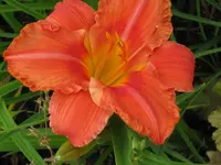 IMG_south seas_1024x768.webp