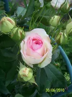 100_2567.webp