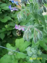 100_2569.webp