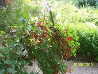 100_2576.webp