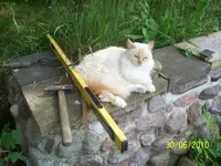 100_2577.webp