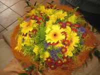 IMG_3698.webp