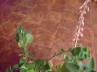 k-DSCF0163.webp