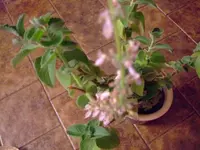 k-DSCF0164.webp
