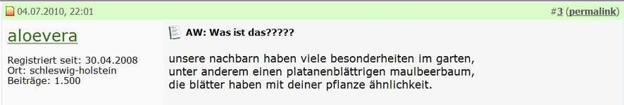 aloevera.webp
