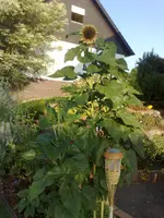 06072010835.webp