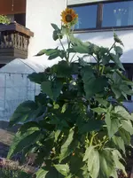 06072010836.webp