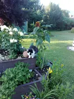 06072010841.webp