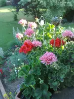 04072010824.webp