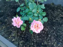 06072010842.webp