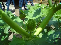 DSC00194.webp