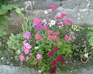 Bild01 9.webp