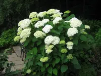 IMG_0691.webp