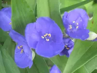 057.webp