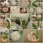Porzellanblumev.webp