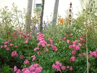 Szene 6.webp