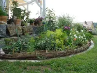 Rosenbeet.webp