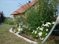 Szene 4.webp