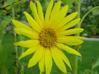 DSCN5841.webp