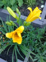 06072010850.webp