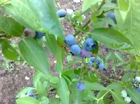 06072010853.webp