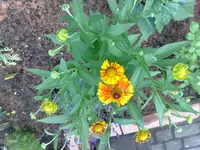 06072010848.webp