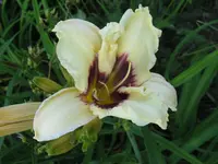 IMG_pandoras box_1024x768.webp