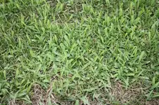 IMG_00131.webp