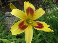 IMG_spectacular1_1024x768.webp