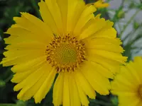 IMG_1845.webp
