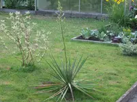 IMG_1834.webp