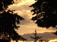 HimmelsbildMorgenröte.webp