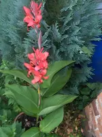 HPIM5001.webp