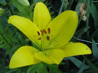 IMG_7169_1024x768.webp