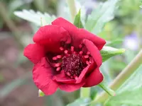 IMG_7122_1024x768.webp