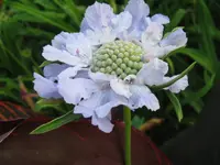 IMG_7170_1024x768.webp