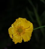 DSC_5652.webp