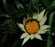 DSC_5655.webp