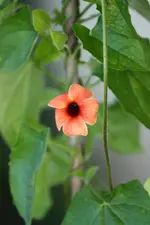 IMG_3847.webp