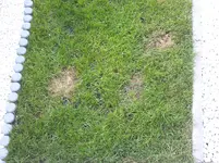Foto054.webp