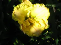 IMG_albert 11_1024x768.webp