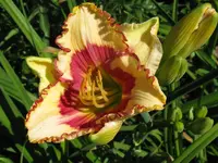 IMG_albert 25_1024x768.webp
