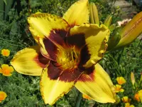 IMG_albert 262_1024x768.webp