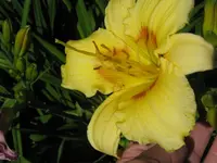 IMG_anja nr.7-1_1024x768.webp