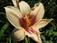 IMG_prairie charme_1024x768.webp